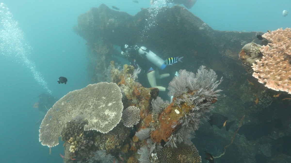 Menyelami Kapal Perang Dunia Ke-2 Di Tulamben